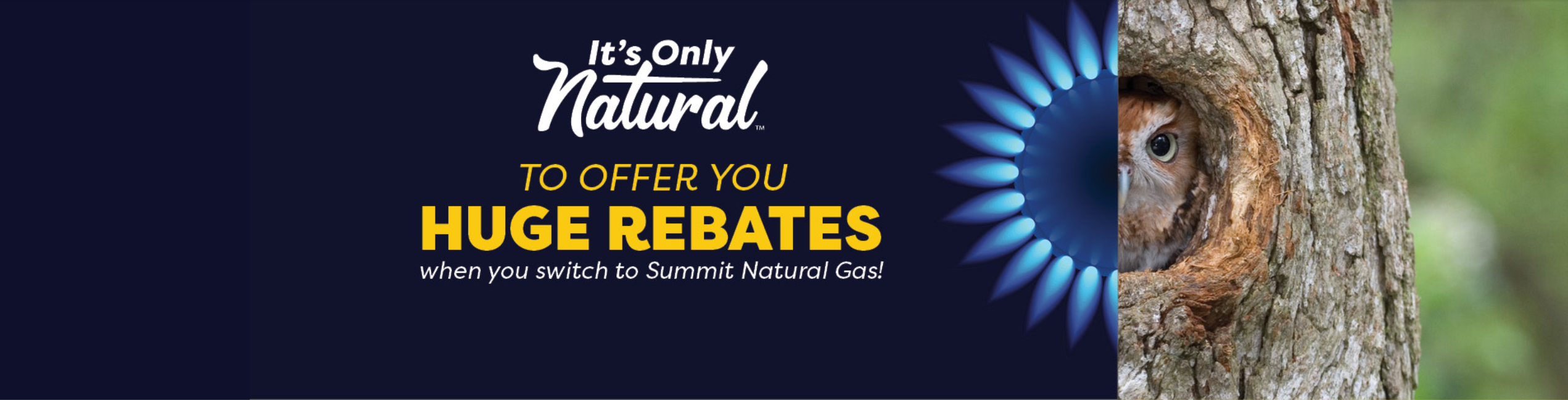 Summit Natural Gas Maine Rebates